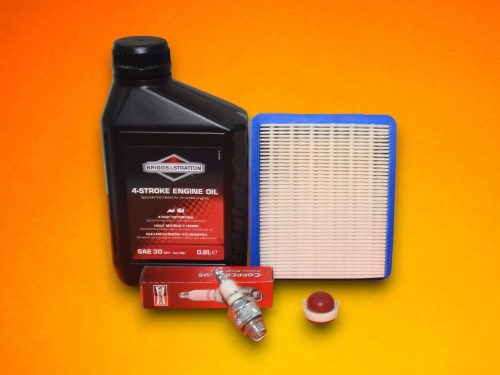 Funyiro-karbantarto-csomag-Briggs-Stratton-Quantum-625-650-675