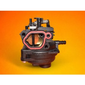 Karburator-Briggs-799584