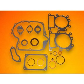 Tömítéskészlet Briggs Intek 796187