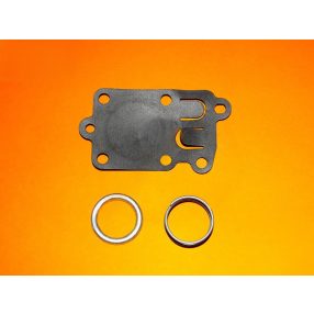 Membrán Briggs 5 HP 272538