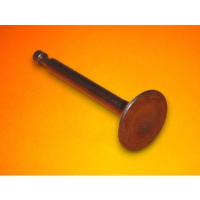 Szívószelep Einhell BL-BV 40