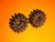 Fűnyírókerék hajtás Budget BBM 46 R