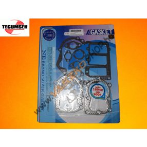 Tömítéskészlet Tecumseh