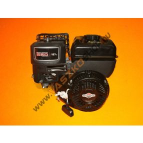 Briggs & Stratton S550 motor 19x60