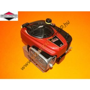 Briggs & Stratton 850 I/C Professional motor 22,2x50