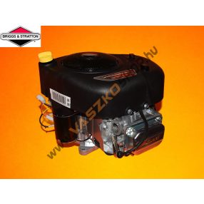 Briggs & Stratton PowerBuilt 3130 motor 25,4x80
