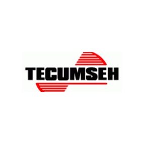 Tecumseh alkatrészek